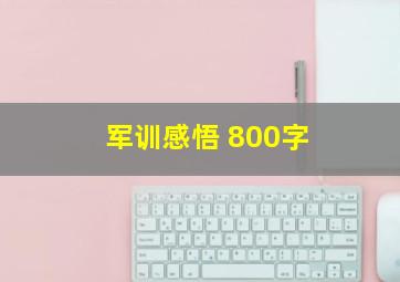 军训感悟 800字